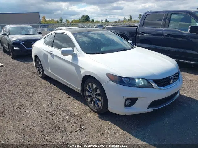 1HGCT1B82EA800699 — 2014 Honda Accord EXL, Задняя часть, фото до ремонта