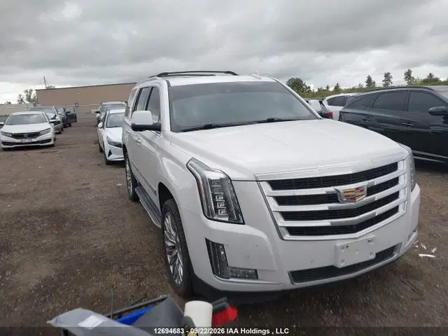 1GYS4CKJ0GR239553 — 2016 Cadillac Escalade, Правый бок (Right Side), фото до ремонта