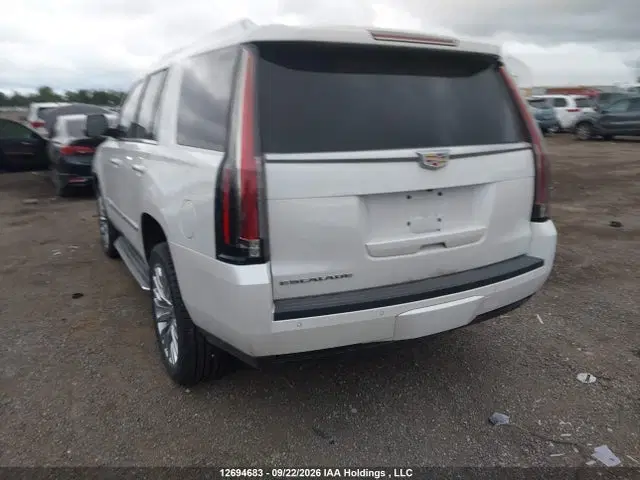 2016 Cadillac Escalade VIN 1GYS4CKJ0GR239553 фото 3