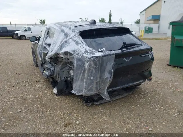 2025 Ford Mustang Mach-e Premium VIN 3FMTK3SU7SMA14689 фото 3