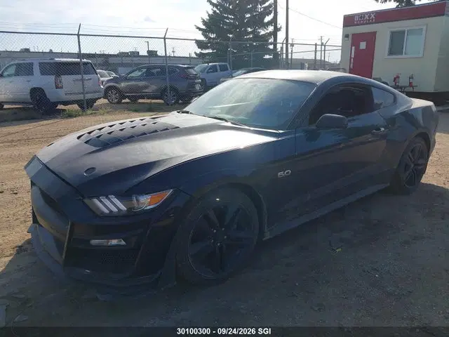 2016 Ford Mustang VIN 1FA6P8AM0G5313915 фото 2
