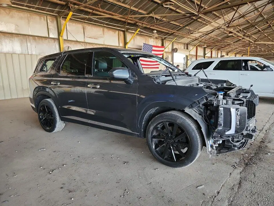 2025 Hyundai Palisade VIN KM8R44GE8SU916596 фото 4