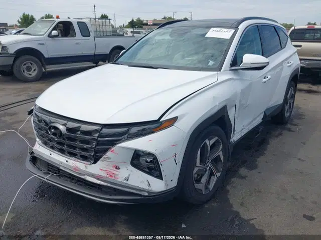 2024 Hyundai Tucson Limited VIN 5NMJECDEXRH382998 фото 2