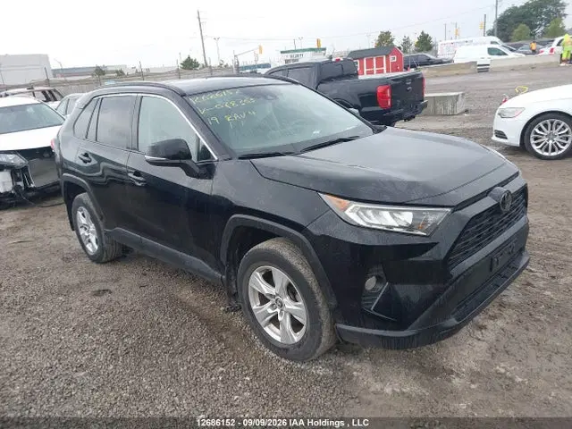 2T3R1RFV7KW078365 — 2019 Toyota RAV4 XLE, передняя часть, фото до ремонта