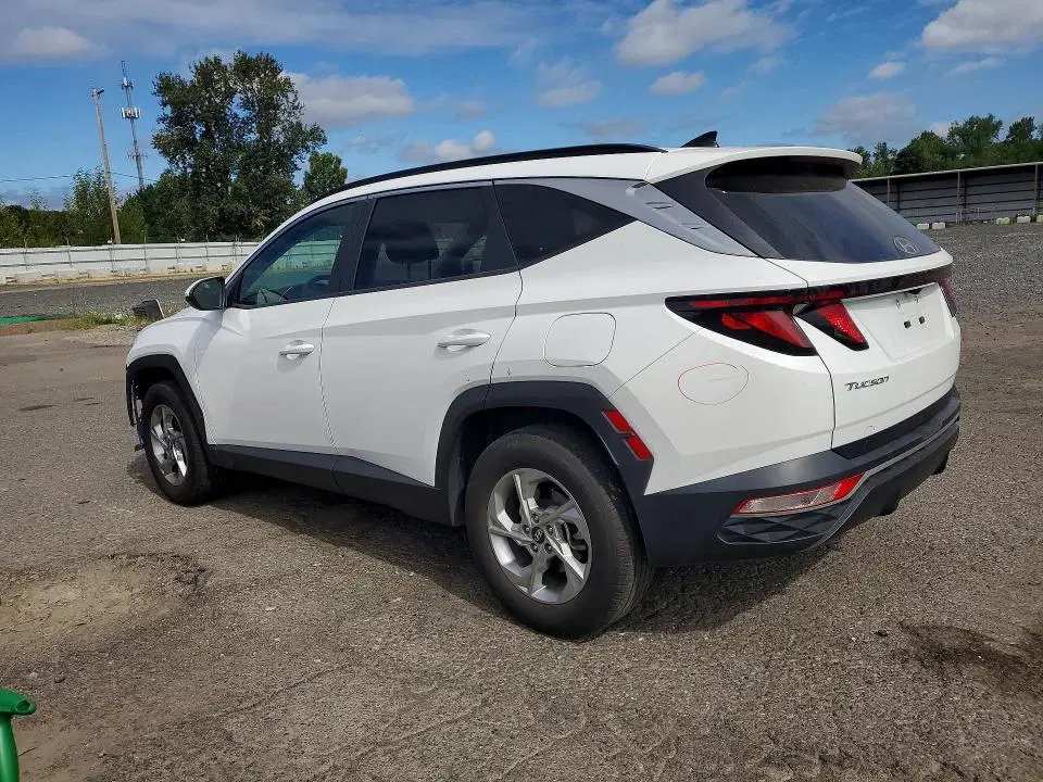 2024 Hyundai Tucson VIN 5NMJBCDE0RH384526 фото 2