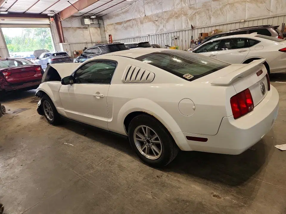 2005 FORD MUSTANG VIN 1ZVFT80N155175764 фото 2