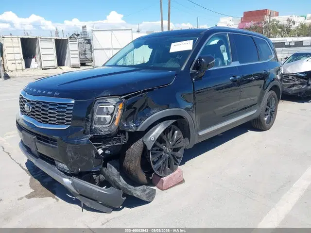2021 KIA Telluride Sx VIN 5XYP5DHC8MG113832 фото 2
