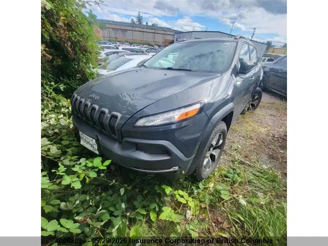 2016 Jeep Cherokee Trailhawk VIN 1C4PJMBS6GW378428 фото 2