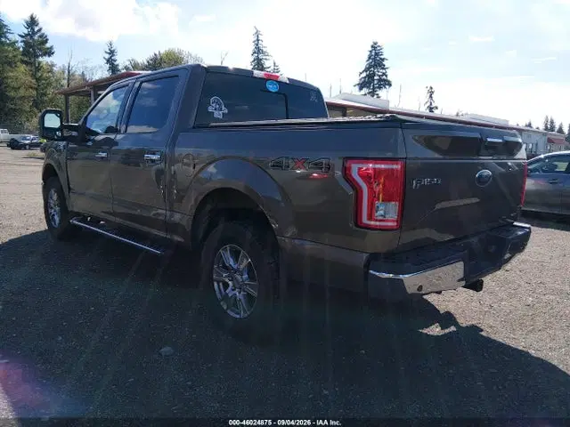 2015 Ford F-150 Xlt VIN 1FTEW1EG1FKE99873 фото 3