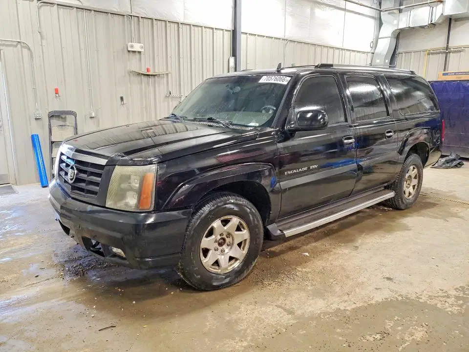 3GYFK66N86G210659 — 2006 Cadillac Escalade, HAIL, фото до ремонта