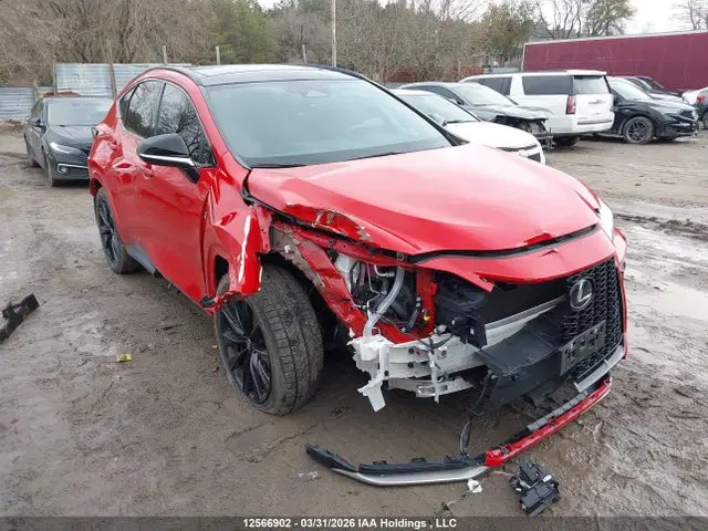 2T2KGCEZ1RC045315 — 2024 Lexus NX 350, Front, фото до ремонта