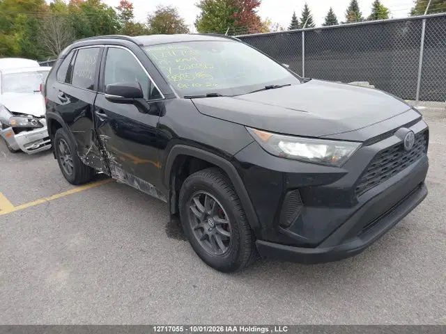 2T3Z1RFV4KW020312 — 2019 Toyota RAV4 LE, Right Side, фото до ремонта