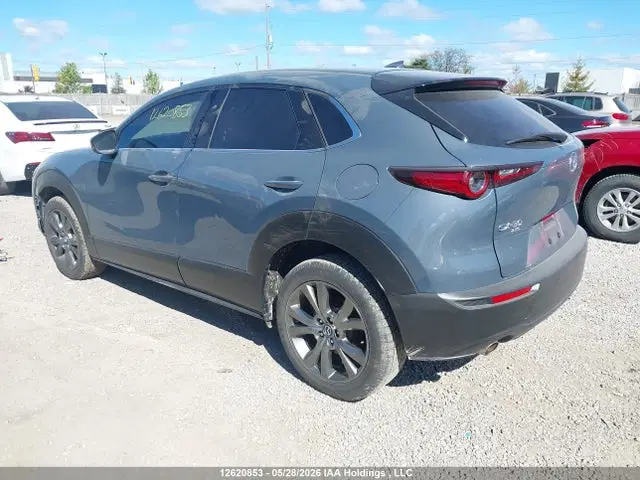 2023 Mazda Cx-30 Premium VIN 3MVDMBDM8PM538515 фото 3
