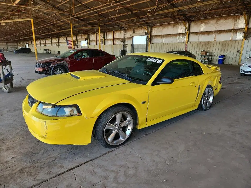 1FAFP42XX1F124501 — 2001 Ford Mustang, Передняя часть (Front End), фото до ремонта