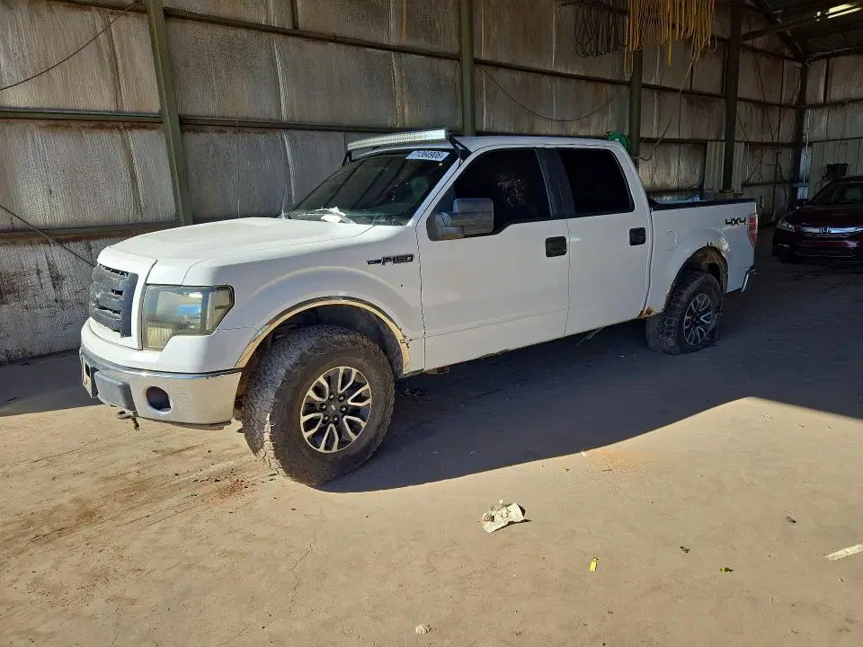 1FTPW14V09FB37975 — 2009 Ford F150, MINOR DENT/SCRATCHES, фото до ремонта