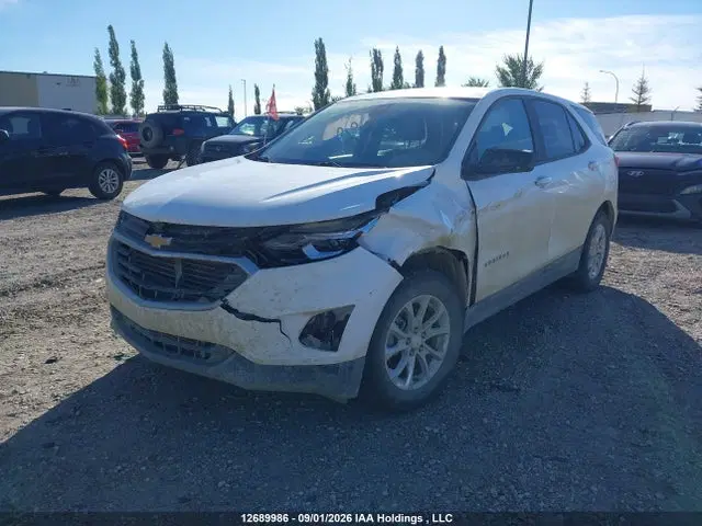 2021 Chevrolet EQUINOX LS VIN 2GNAXSEV9M6109299 фото 2