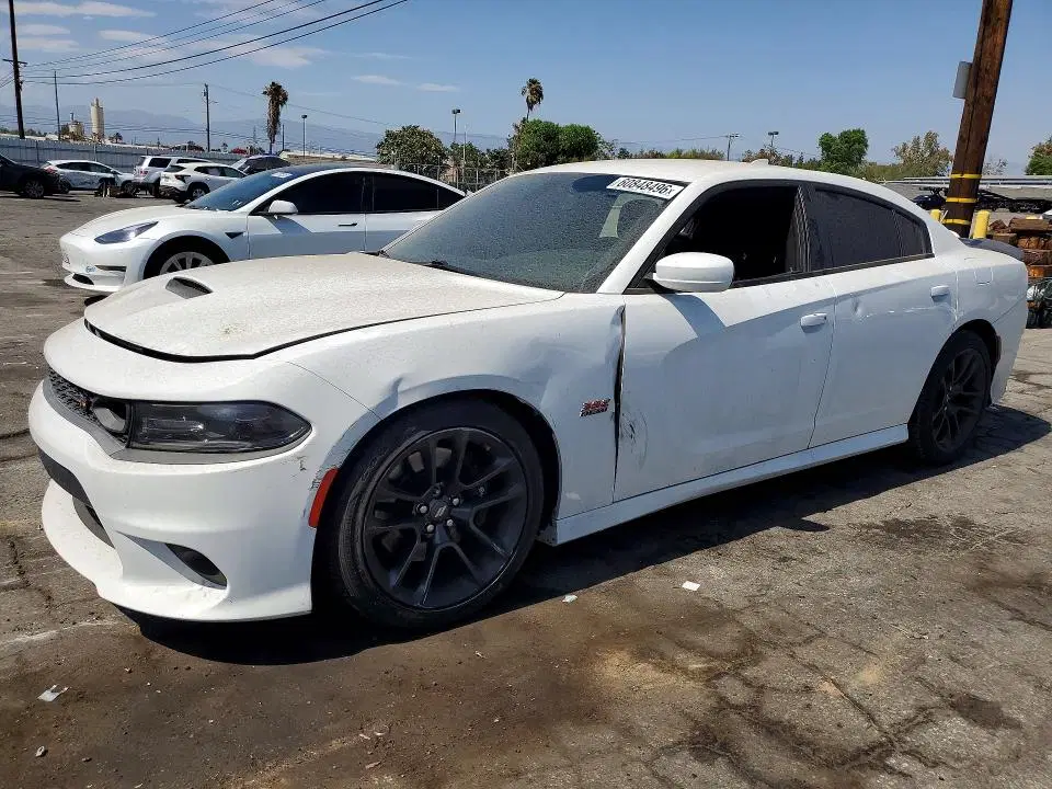 2C3CDXGJ1MH667058 — 2021 Dodge Charger, Vandalism, фото до ремонта
