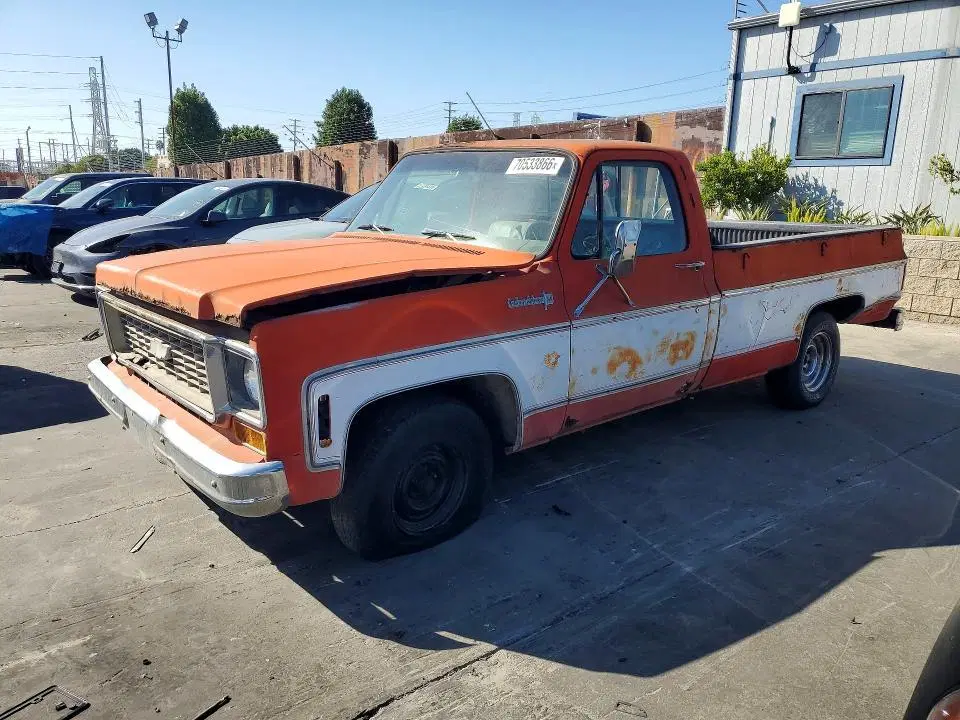 CCY143S128059 — 1973 Chevrolet C10, Задняя часть (Rear End), фото до ремонта