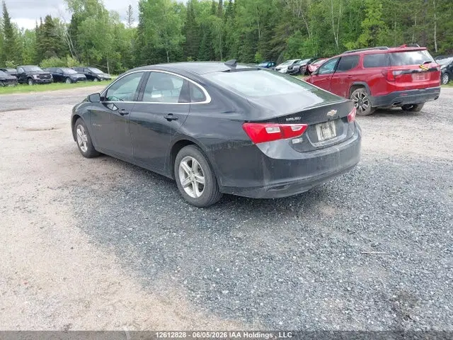 2024 Chevrolet MALIBU LS VIN 1G1ZB5ST7RF157114 фото 3