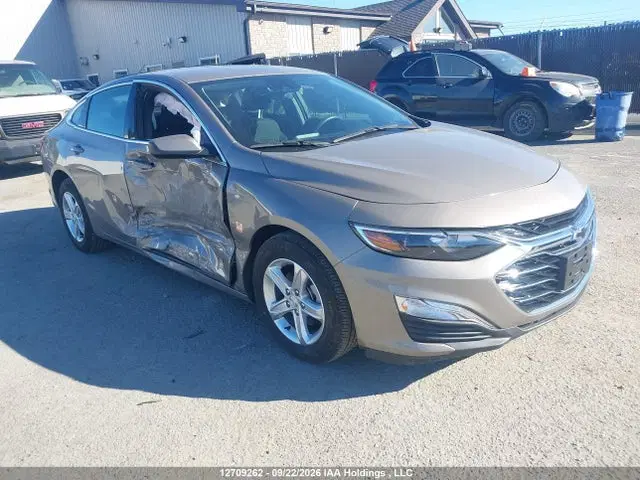 1G1ZB5ST2RF226761 — 2024 Chevrolet Malibu, Right Side, фото до ремонта