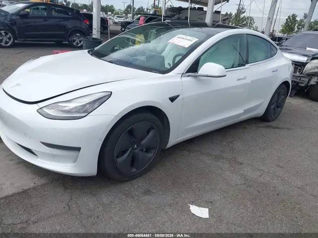 2020 Tesla Model 3 Standard Range Plus Rear-wheel Drive/standard Range Rear-wheel Drive VIN 5YJ3E1EA6LF741118 фото 2