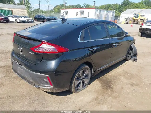 2019 Hyundai Ioniq Electric Limited VIN KMHC05LH0KU045409 фото 4