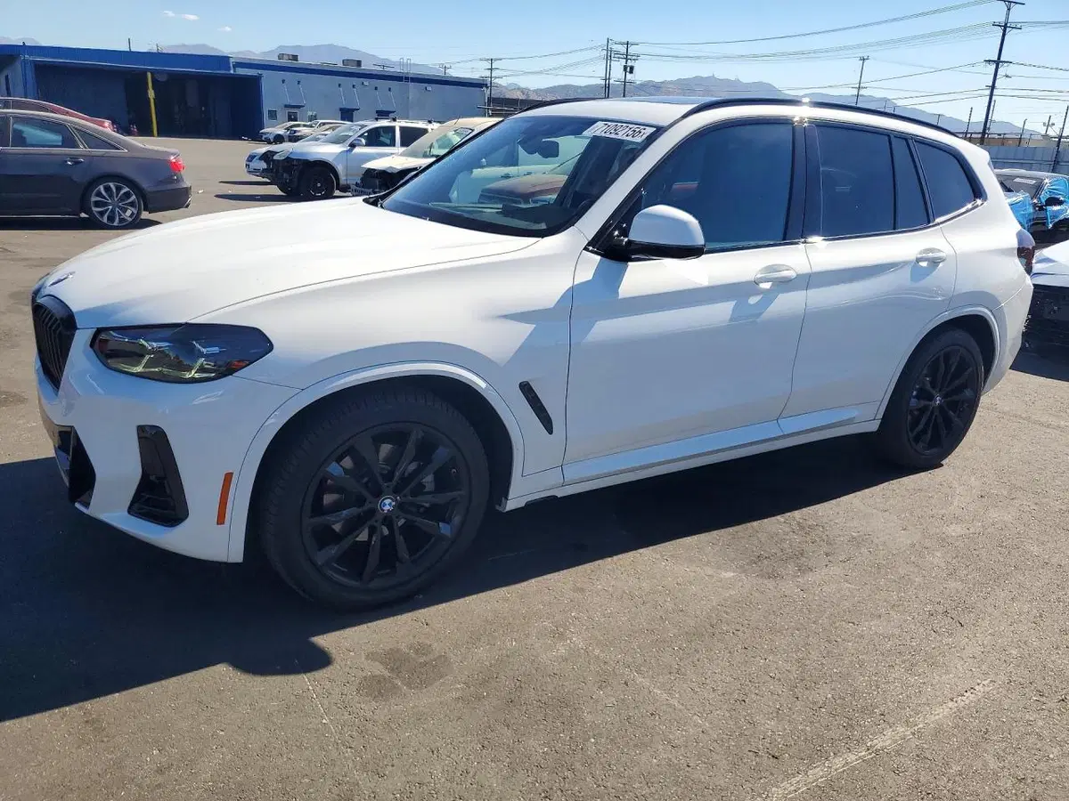 5UX43DP05R9W38774 — 2024 BMW X3, Мелкие вмятины и царапины, фото до ремонта