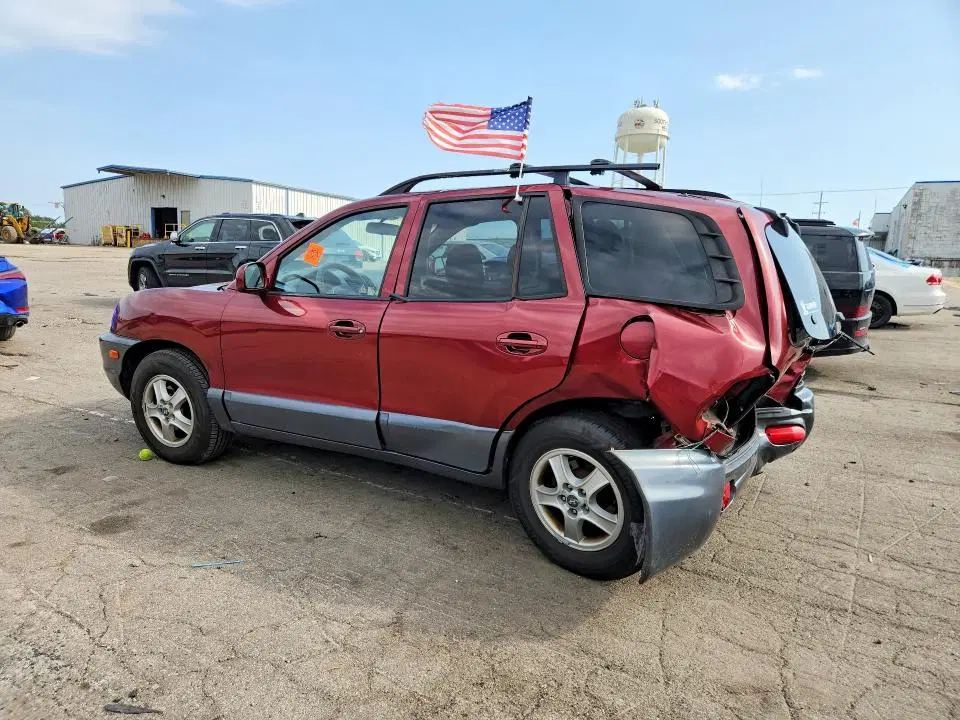 2004 HYUNDAI SANTA FE VIN KM8SC13E84U700078 фото 2