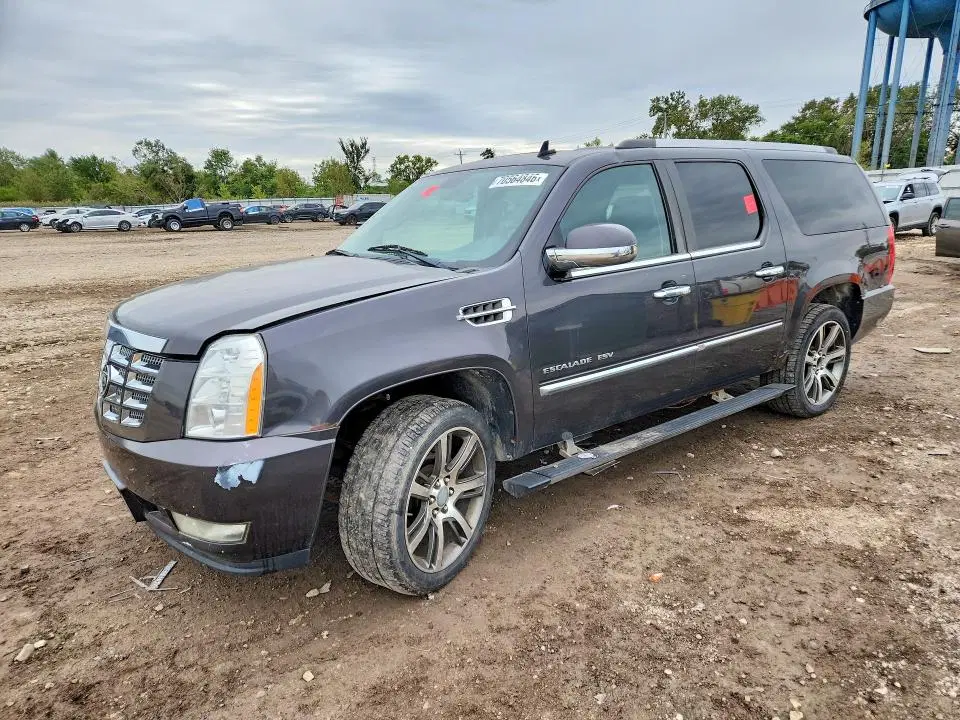 2010 CADILLAC ESCALADE VIN 1GYUKJEF0AR209891 фото 2