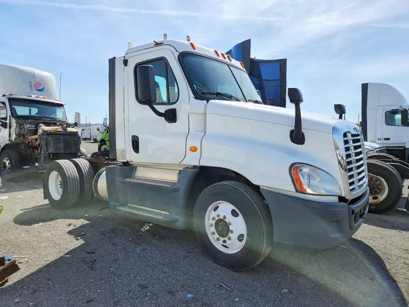 1FUBGEDV6GLHC5674 — 2016 Freightliner Cascadia 1, мелкие вмятины и царапины, фото до ремонта