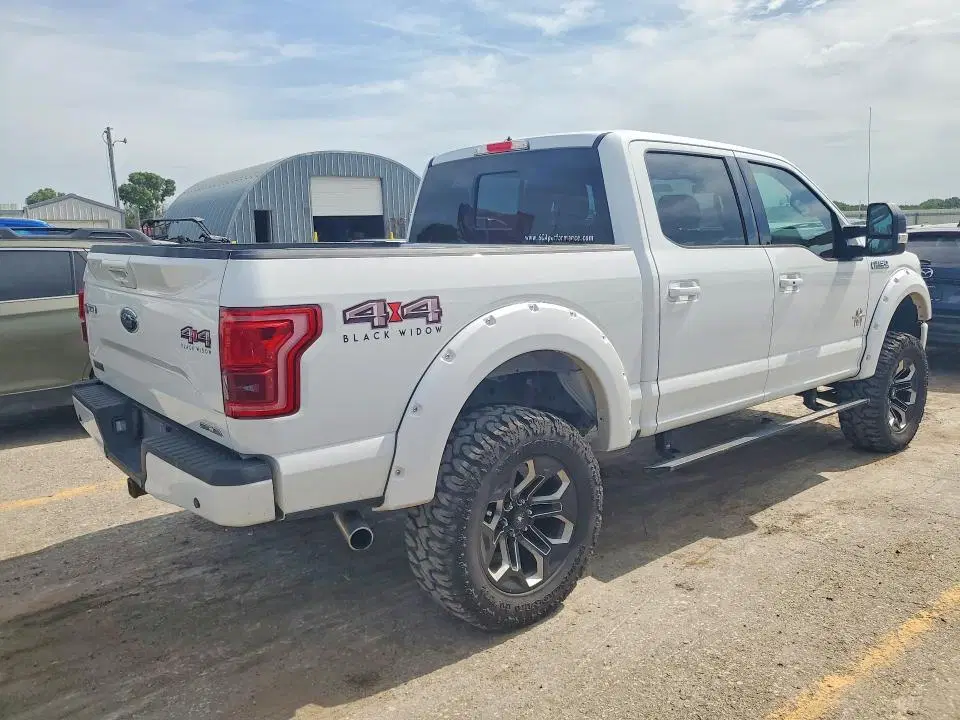 2017 FORD F150 VIN 1FTEW1EF6HFC89191 фото 3