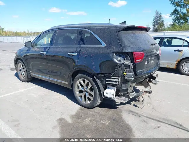 2019 KIA Sorento 3.3l Sx/3.3l Sxl VIN 5XYPKDA5XKG457292 фото 3